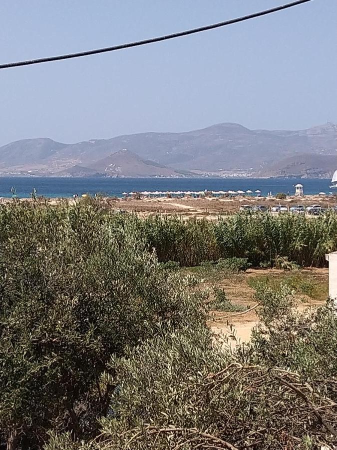 Nikoletta Studios 1 Agios Prokopios (Naxos) Exterior foto